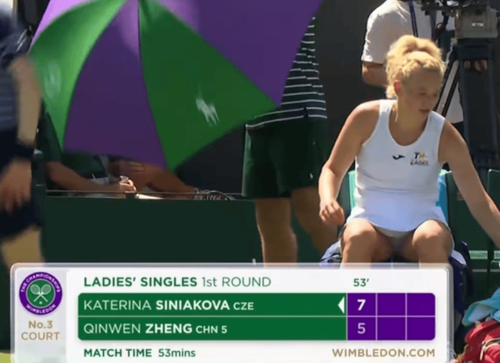 大连英博vs浙江_温网即时战况：西尼亚科娃拿到两个局点大连英博vs浙江，最终以7-5先下一城