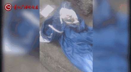 皇冠信用网注册
_女子水中捡漂亮石头装裤兜里被烧伤皇冠信用网注册
，医生：“石头”初步判定是磷