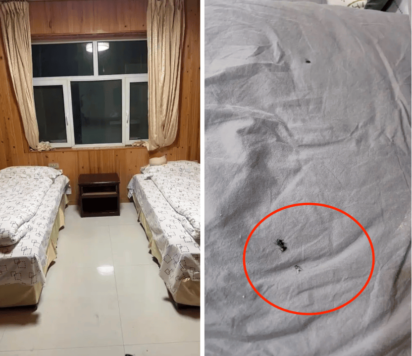 克罗地亚足球联赛
_99元豪华游克罗地亚足球联赛
，被骗到内裤不剩