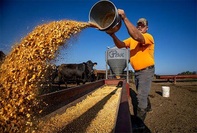 皇冠体育App下载
_又输给了李成钢皇冠体育App下载
，贝森特承诺：美方不再考虑对华加征100%关税