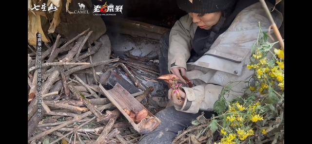 皇冠会员如何申请
_“冷美人”退赛皇冠会员如何申请
,错失20万奖金